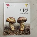 자연은 내친구 | 아가월드 영유아 자연관찰전집 자연은 내친구