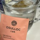 상남동272 | [ 일상 ] 또 어떨까 천년뒤에