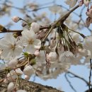 보스턴웰치과의원 이미지