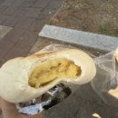 초이스(CHOI’S)모터스 | [대구 :: 초이스엠 Choi's M] 팔공산 부모님 모시고...대형 베이커리 카페, 단팥빵 맛집, N번째 방문 후기