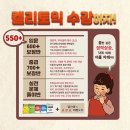 인천부평YBM 압축최강 켈리토익 ✔700+보장반✔주3일 한달완성 16만원✔이벤트! 클래스 마감임박 !!! 토익시작•입문자도 수강가능한 700반! ✔보장점수미달시 이미지