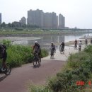 월정초등학교 이미지