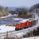 쏘빠메민물장어 이미지