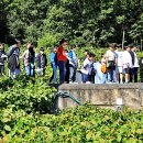 평일초등학교 이미지