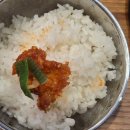 미스코다리 미스터 황태 이미지