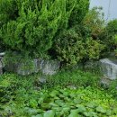 문충초등학교 이미지