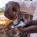 웅지농장 이미지