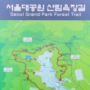 [제45회 낭만길걷기 공지] 24년 3월 8일 (금) 서울 대공원 산림 욕장길 이미지