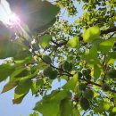 대승농장 이미지