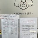 디어 마이 망고 이미지