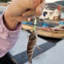 명도그 오토캠핑장 | [남해캠핑] 모든 사이트가 오션뷰, 명도그오토캠핑장후기(+독일마을, 남해낚시포인트)