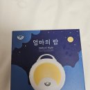 스테이프리 | 스테이 프리 백색소음기 내돈내산 후기