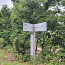 우일태양광발전소 이미지