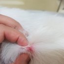 원종동물병원 이미지