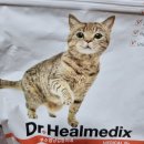 닥터홍 동물병원 이미지