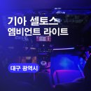디지나인커스텀 | 대구엠비언트라이트 셀토스 무빙엠비언트로 새롭게 변신! 대구 실내커스텀 튜닝맛집!