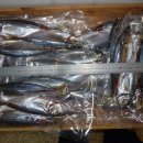 오늘의 생선 이미지