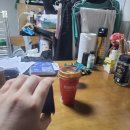 Holly Molly 이미지