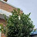 덕촌2천 이미지