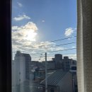 오사카 교토 여행 2일차 - 교토 명소 니넨자카 산넨자카, 교토 지브리샵 동구리공화국 내돈내산 방문 후기