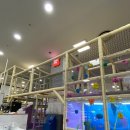 인하놀이터 이미지