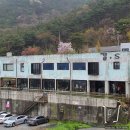 J0603 | 충남 보령 전망뷰 카페 - 갱스커피 (by. 맛간다람쥐a)
