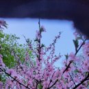 오포1동-4 이미지