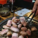 골목흙돼지