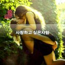 유머 ㅡ사랑 이야기 ㅡ남녀가 서로 ㅡ해주면 좋은 스킨쉽 ㅡ어쩌다 ㅡ나는 당신이 좋아서ㅡ사라이 좋아서 ㅡ선주 이미지