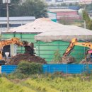 소집농장 이미지