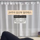 올리움필라테스 네이버블로그