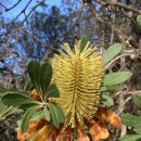 박미향 농장 이미지