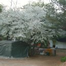 상미농장 이미지