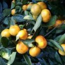 은선농장 이미지