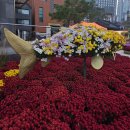 동대문시장으로 해서 인사동~조계사까지 걷다~~ 이미지