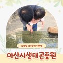아산경찰서 내부 휴게공간 | 아산 실내여행 아산시 생태곤충원 아이랑 가볼만한 곳 두돌아기 무료 입장