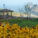 일신아파트 버스정류장 옆 이미지