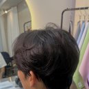 둔산서로 이미지