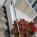 김녕리경로당 이미지