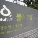 양평칠읍산밸리