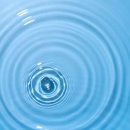 깊은산속 이미지