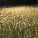 예쁜연못집 민박 이미지