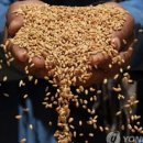 (주)케이씨팜 이미지