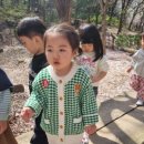 개미어린이집 | 면목동 어린이집 하늘채어린이집 만2세, 개미부터 라일락까지…아이들이 자연에 빠진 이유는?