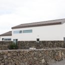 스테이두모 이미지