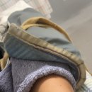 서정성세의원 이미지