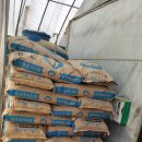 모리아팜 이미지