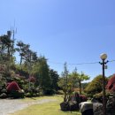 황금호숫가 이미지