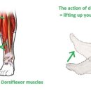 광양한의원 이미지