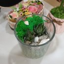 태백시립도서관 이미지